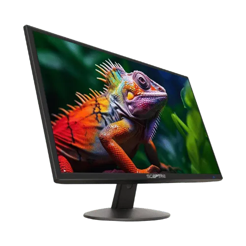 Sceptre E248W-19203R 24" FHD 75Hz Monitor - 23.8" Viewable (24" Class) - Monitors - 4.6 stars
